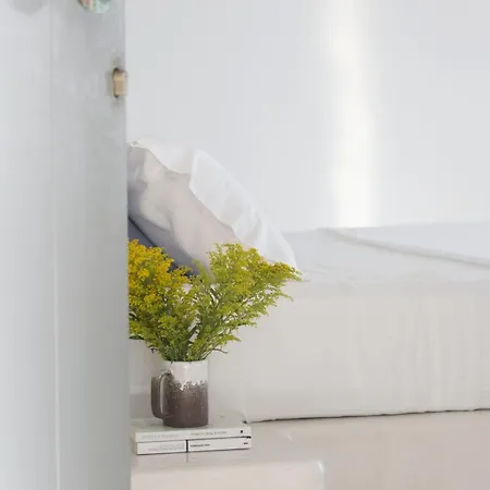 Villa House G In Tinos Kardhianí